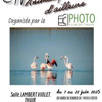 Exposition du photoclub - Animaux d'ici et d'ailleurs