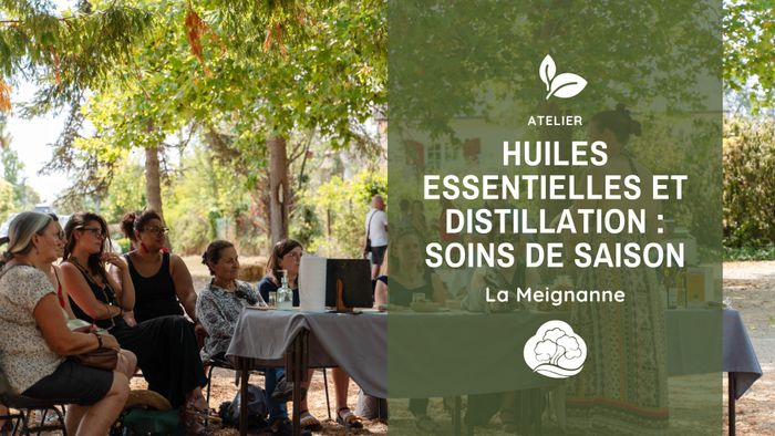 Huiles essentielles et distillation : Soins de saison