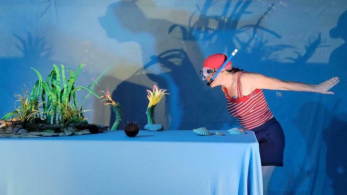 Spectacle "le grand plongeon "