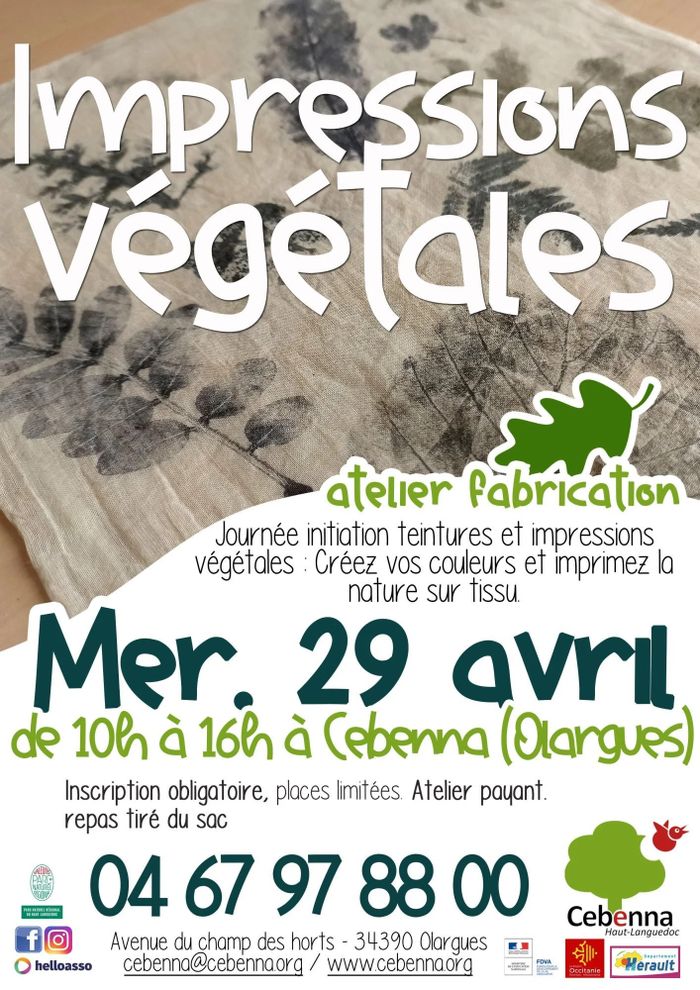 Atelier : Impressions végétales
