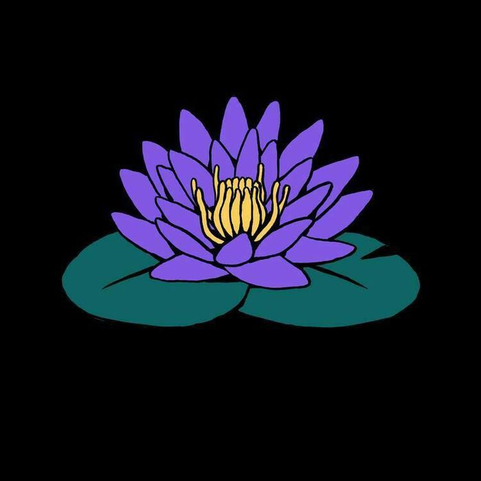 COLLECTIF BLOOM