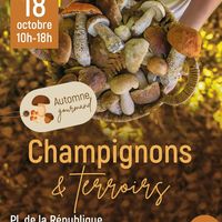 Champignons & Terroirs - Automne gourmand