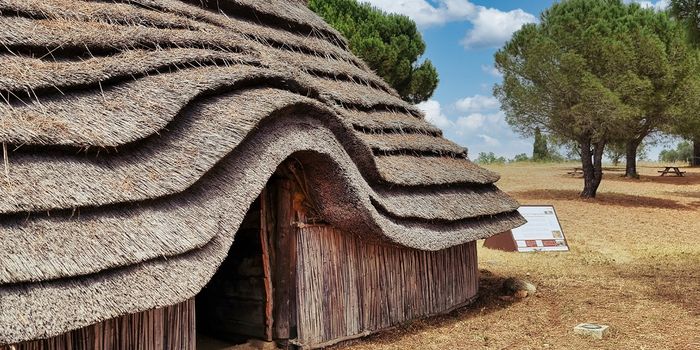 Initiation à l'archéologie : céramologie