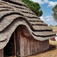 Initiation à l'archéologie : céramologie