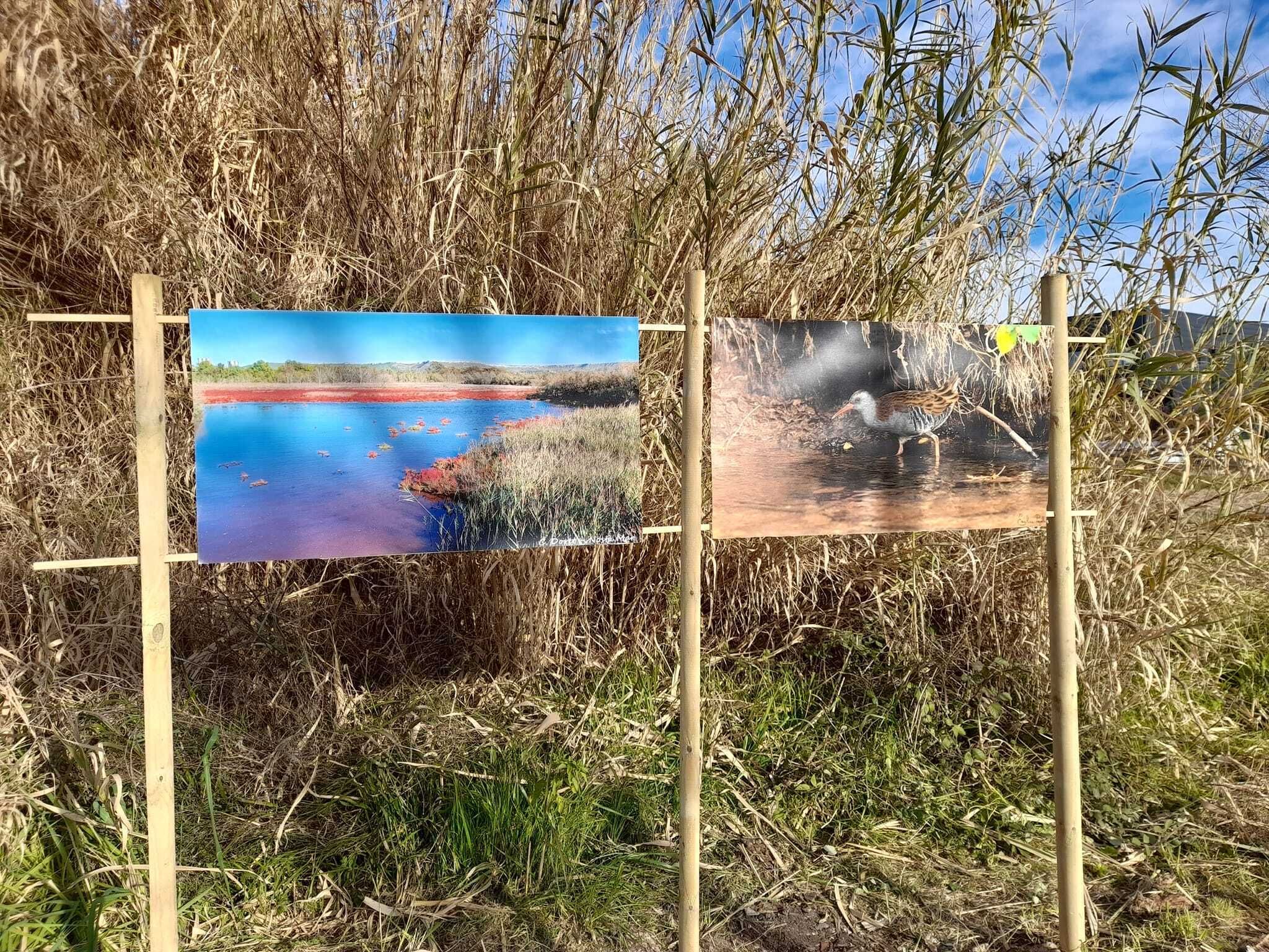 Les balades photographiques de l'étang de Berre