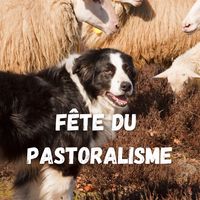 Fête de la transhumance - Concert et repas des éleveurs