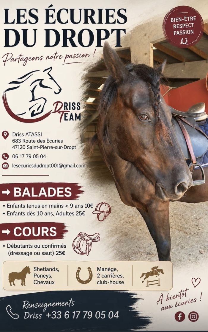 Balade et cours d'équitation durant l'été