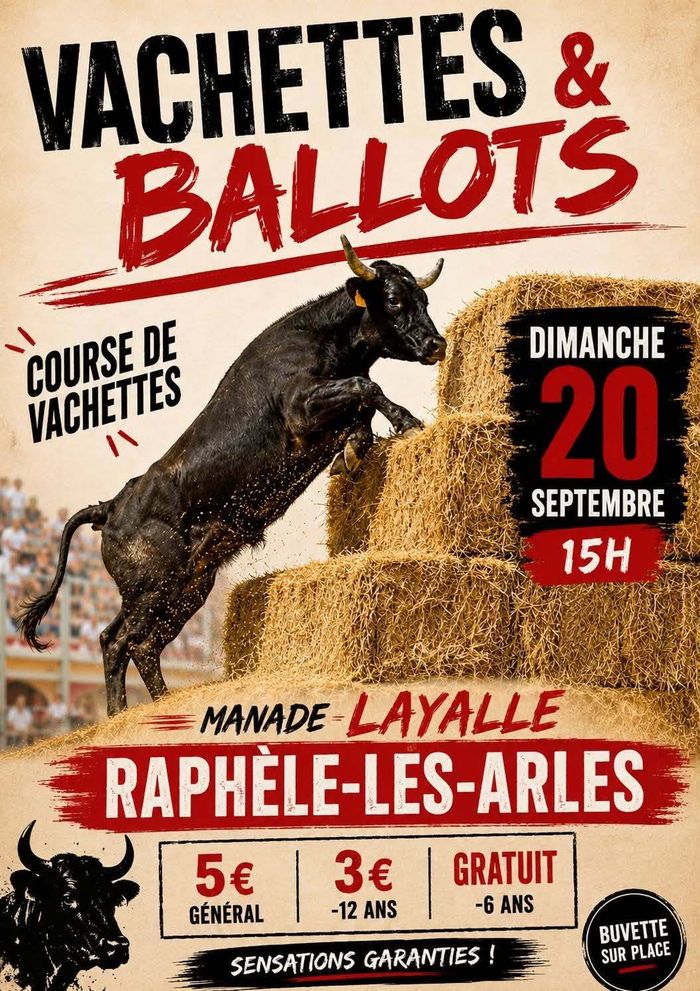 Visuel évènement