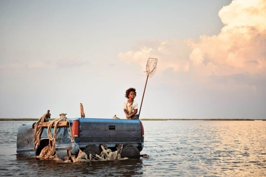 LES BÊTES DU SUD SAUVAGE