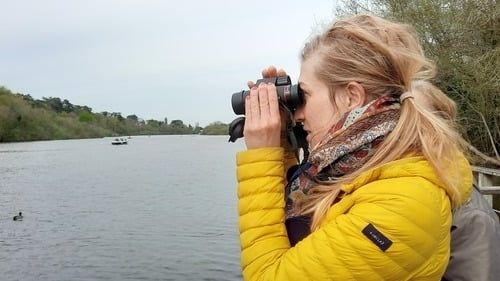 Balade nature au lever du soleil sur les bords de l’Erdre