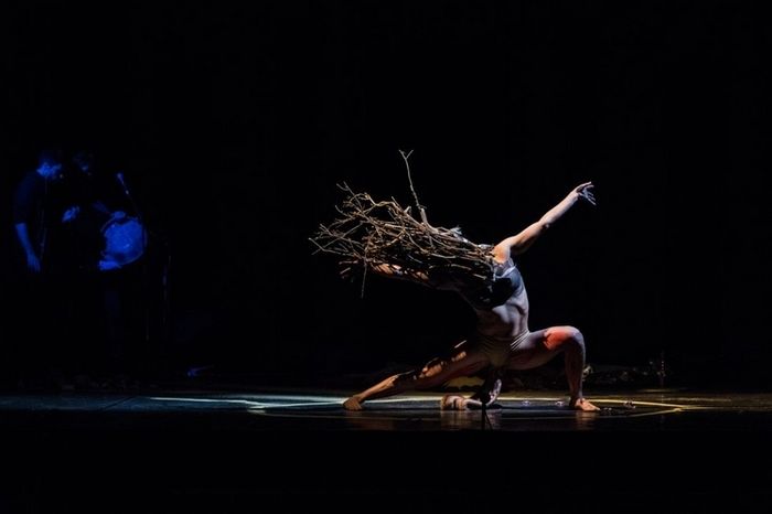 Solo n°3 - Agustina Sario