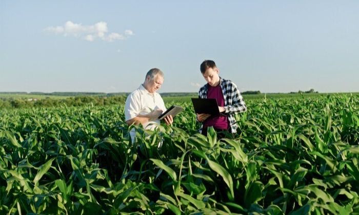 Webinaire - Crise agricole : quels sont les dispositifs et aides ouvertes ? Comment y accéder ?