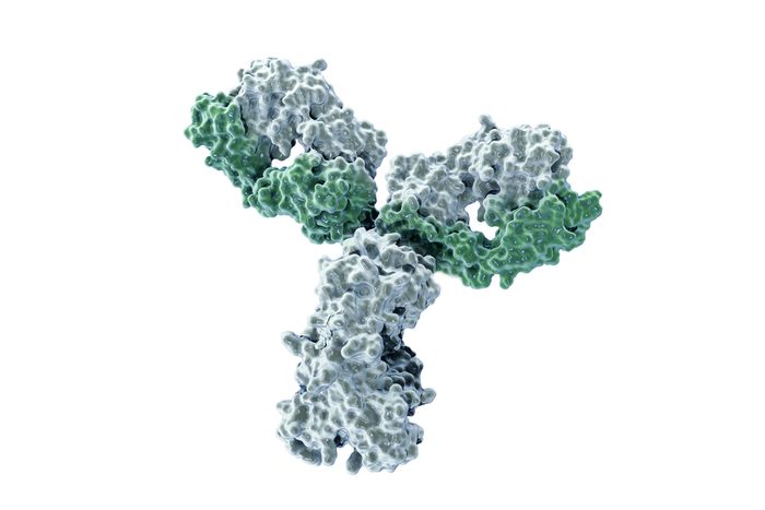 Changing paradigm on therapeutics targeting membrane proteins - From antigen production to candidat validation