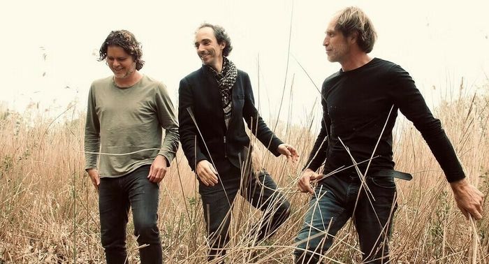 Toma Gouand : Trio Out ot the Wild - Saison Pannonica