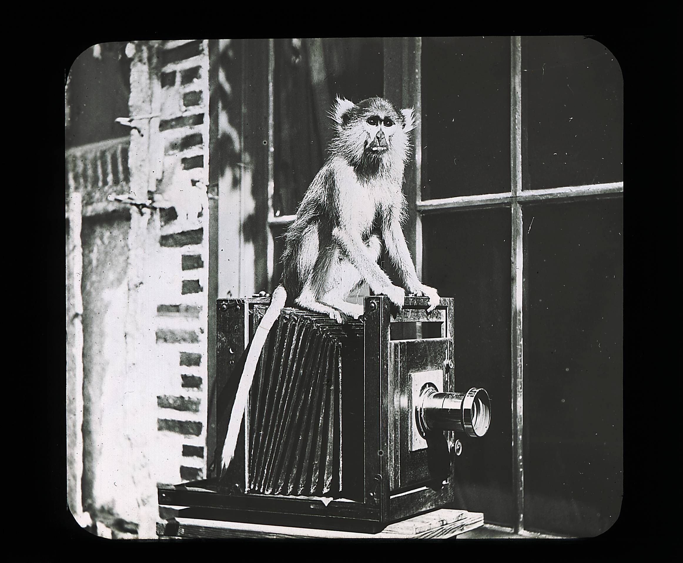 La Co-élaboration artistique des Archives : une œuvre photographique collective, participative et citoyenne.