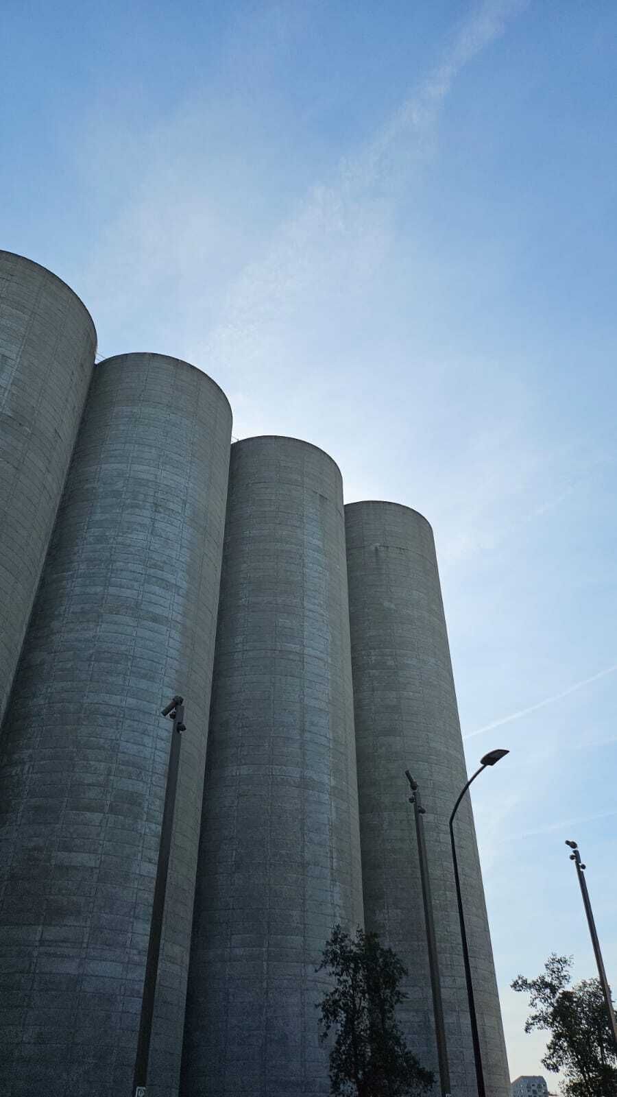 Tour: Bacalan, the Shapeshifter