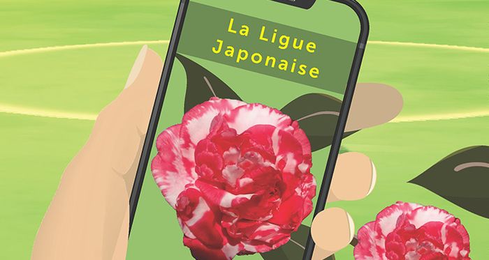 Camélias, attrapez-les tous !