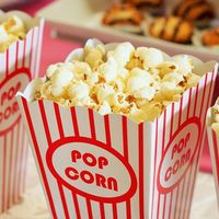 Casanim's fait son cinéma