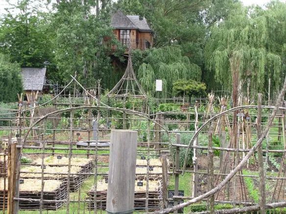 Visite du jardin d'un meilleur ouvrier de France ornemaniste
