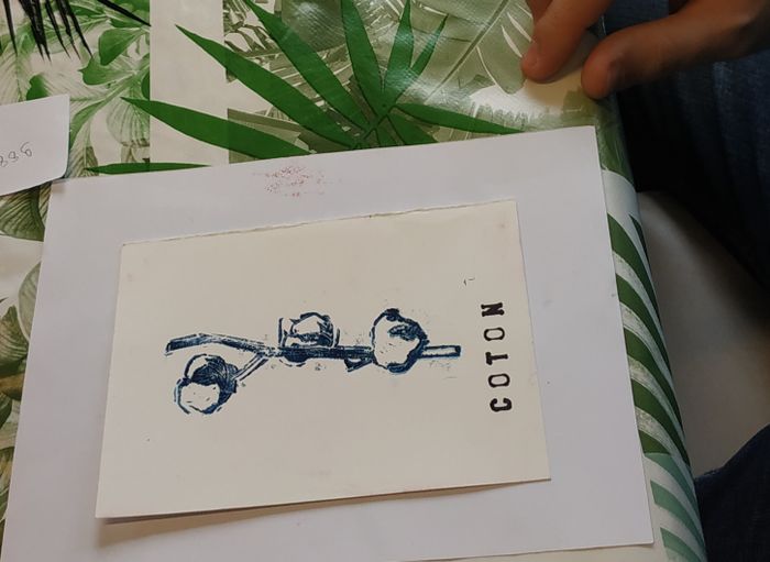 Mon petit herbier imprimé - AMI