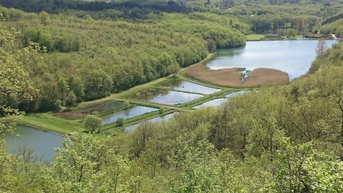 À la découverte de la biodiversité des étangs de Valojoulx