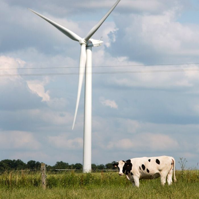 Visite guidée du parc éolien du Pays d'Anglure