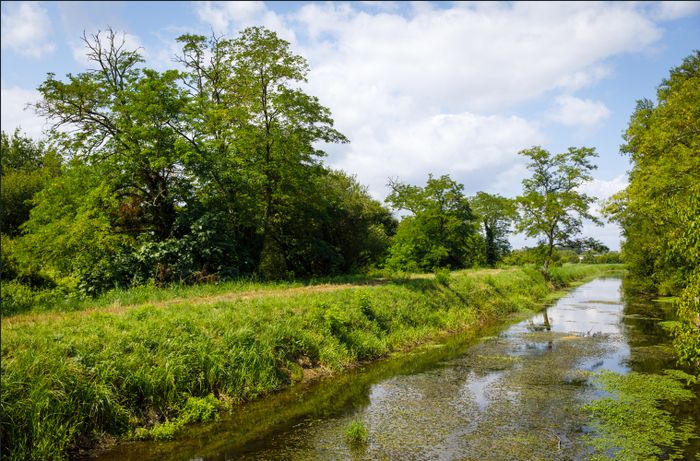 Balade « A la découverte de la vallée maraichère des Jalles du Taillan et d’Eysines »