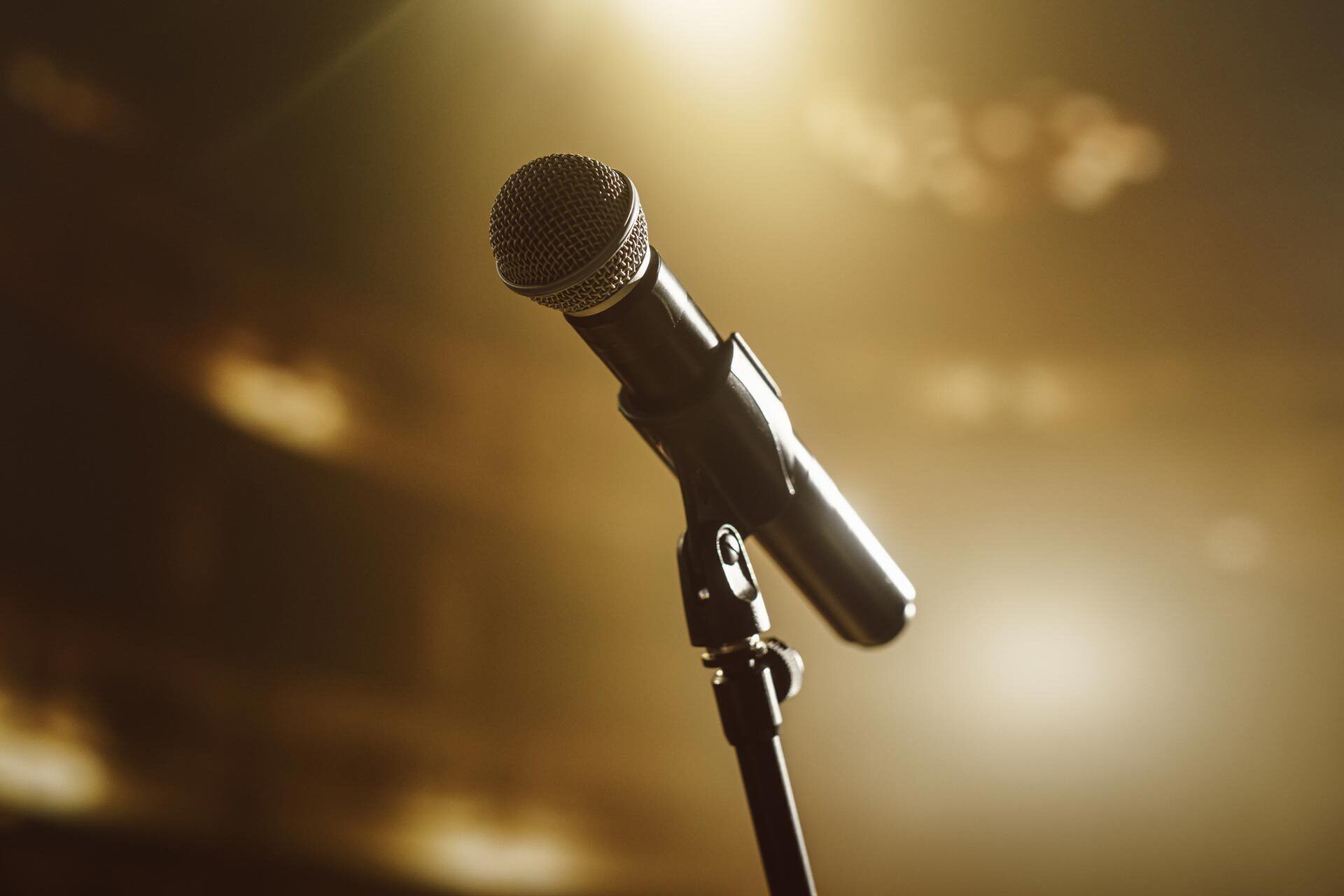 Concert “Elo & the Gritty Hops”
