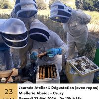 Stage Immersion au pays des abeilles à Cruzy