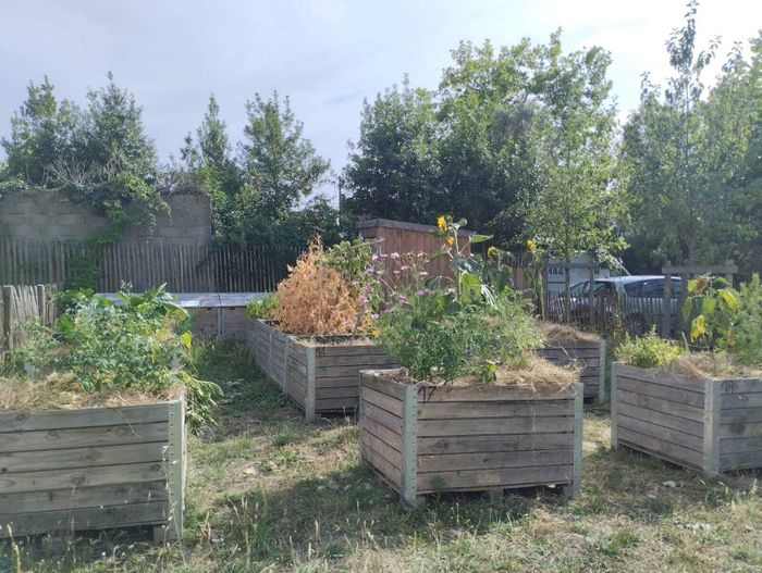 Atelier jardinage à Romain Rolland