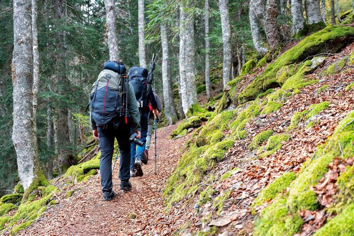 Aventure photo Bouquetin des Pyrénées