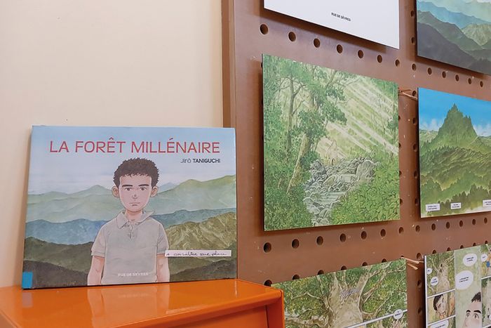 Exposition La forêt Millénaire