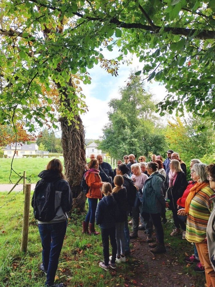 Circuit : balade nature à la découverte des arbres et de leurs vertus