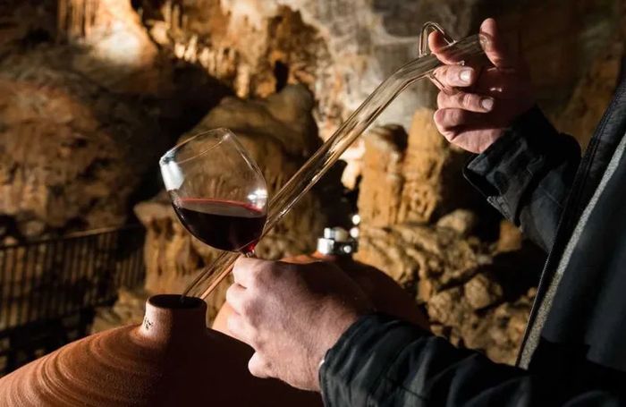 Vinospéléologie
