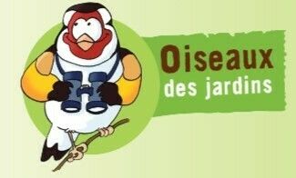 Comptage hivernal des oiseaux des jardins au Lieu Utile