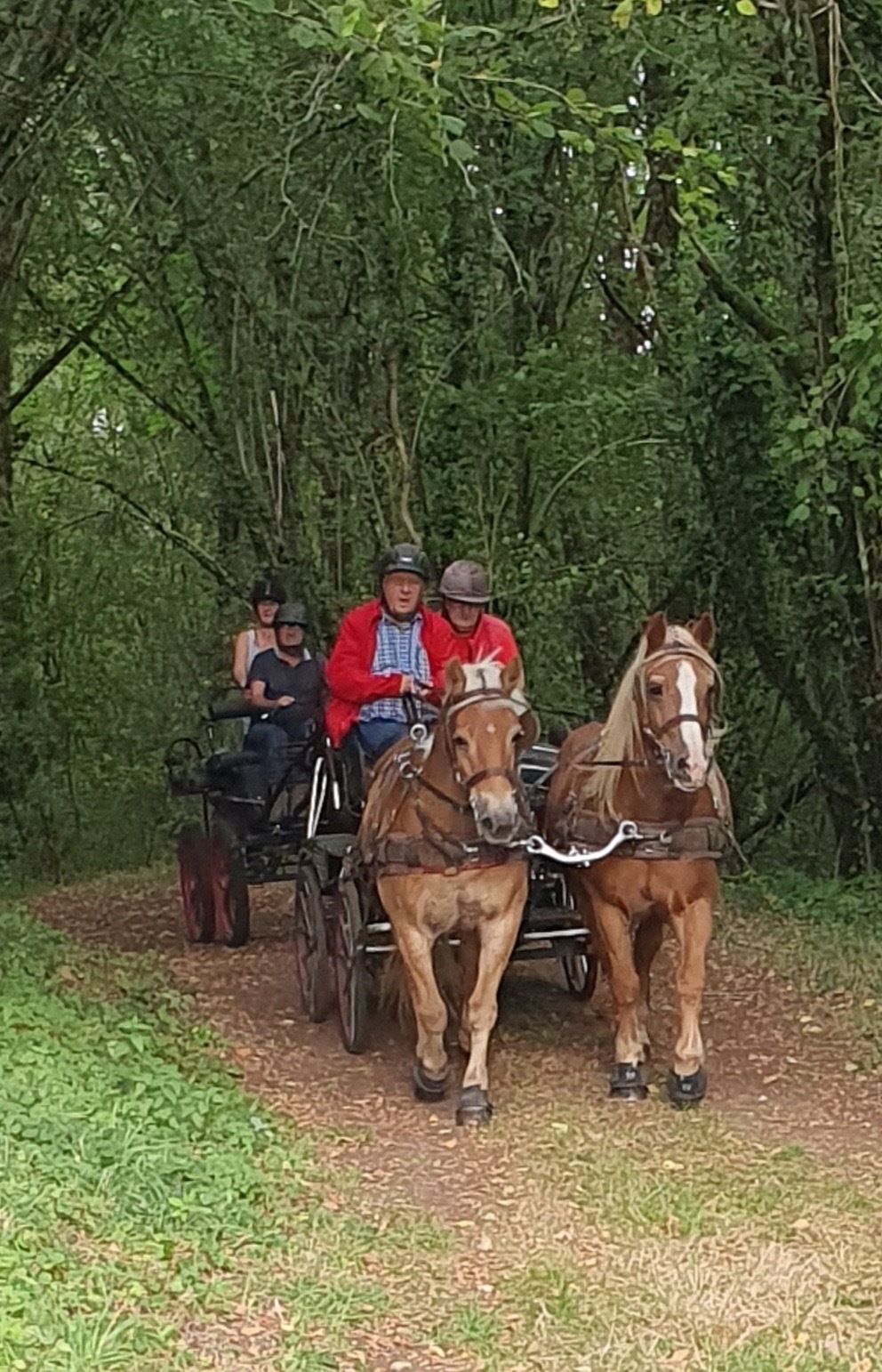 Horse Riding in Yvrac et Malleyrand