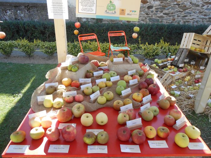La sagesse des fruits de garde