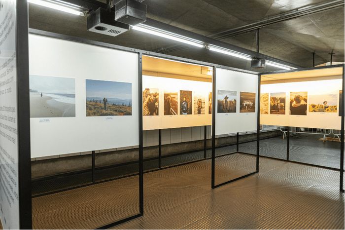 Exposition : balade urbaine