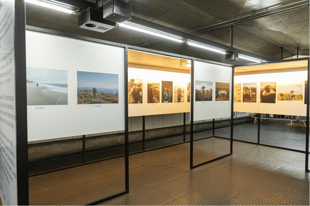 Exposition : Balade Urbaine