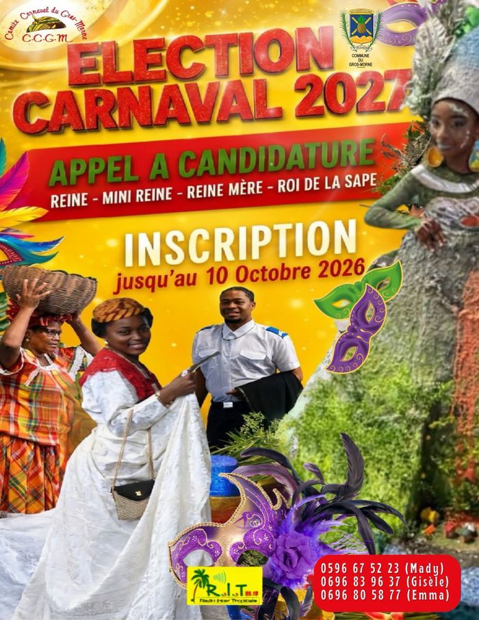 APPEL À CANDIDATURE-ÉLECTION CARNAVAL 2027