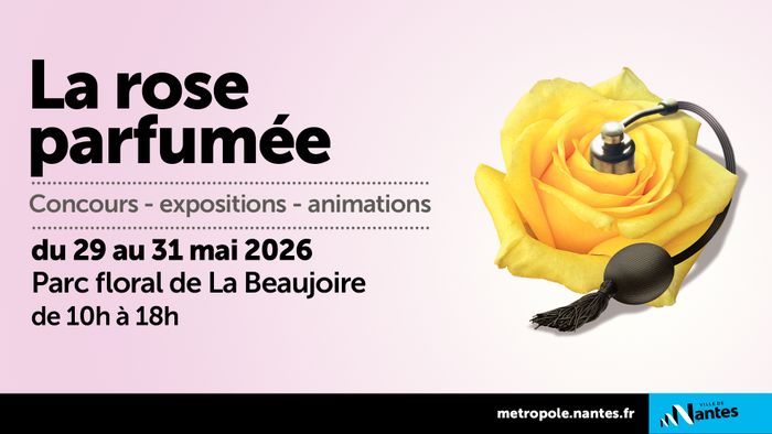 La rose parfumée