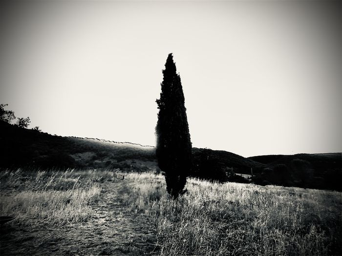 Atelier photographique, la découverte du sténopé, l'origine de la photo