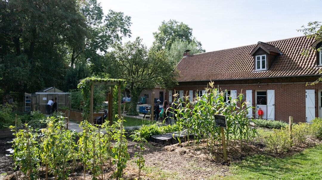 Les p'tites bêtes en herbe
