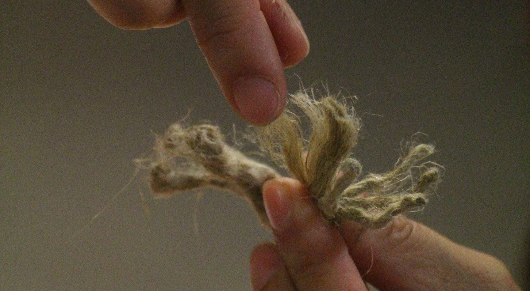 Fibres de bâtisseurs