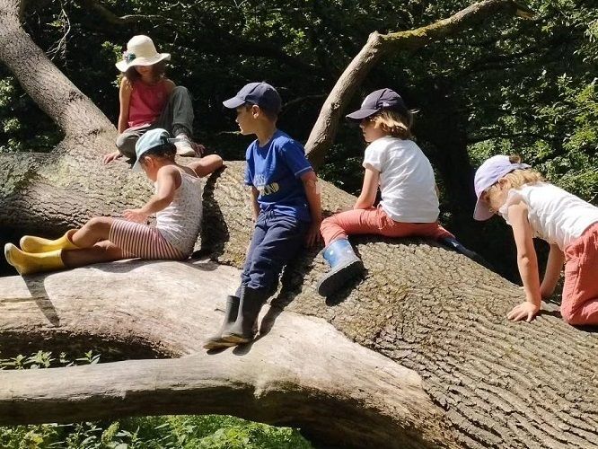 Sortie nature parent-enfant : Fabrique ton herbier de feuilles d’arbres