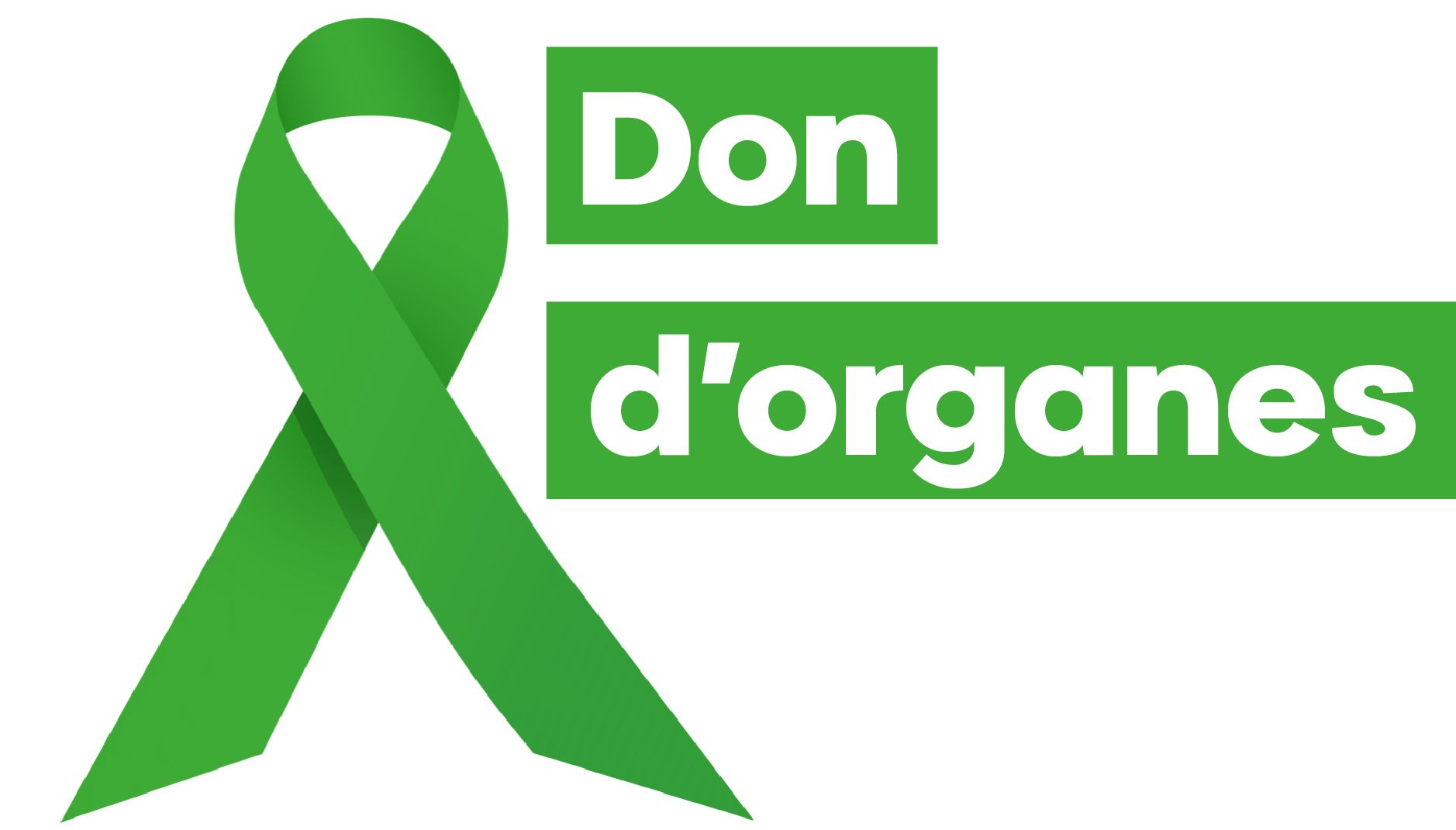 Rencontre autour du don d'organe
