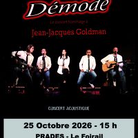 Concert hommage à Jean-Jacques Goldman « Démodé »