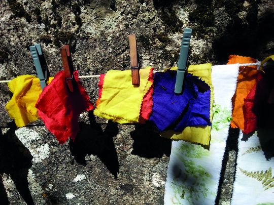 Atelier "Teinture végétale"