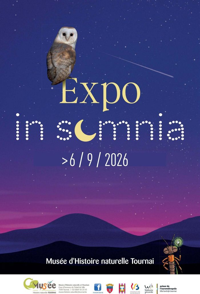Insomnia