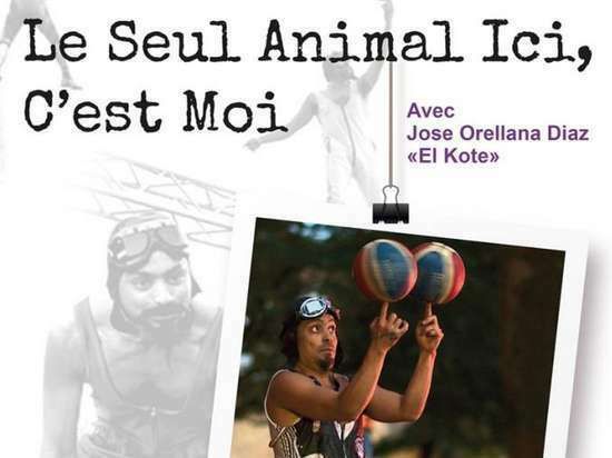 Cirque d'impro: Le seul animal ici, c'est moi